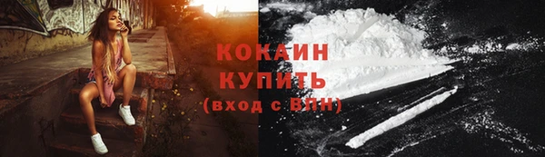 прущие грибы Аркадак
