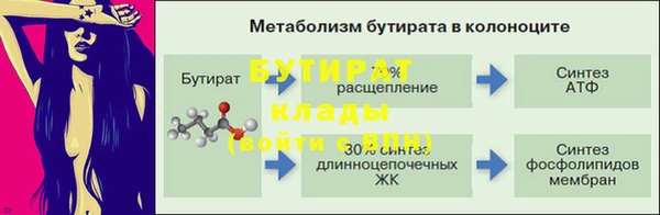 прущие грибы Аркадак