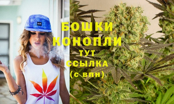 меф Арсеньев