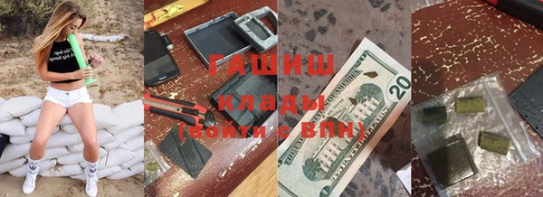 прущие грибы Аркадак