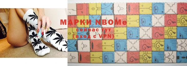 прущие грибы Аркадак
