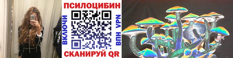 Купить  Азнакаево  Псилоцибиновые грибы прущие грибы 